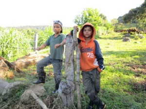 Farm kids (photo by Sahand Fard)